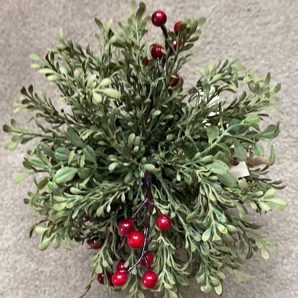 Boxwood Greenery Pot - Picture 2 of 6